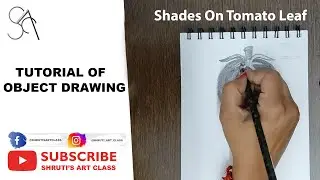 Tutorial of creating object drawing tomato #leaf for #beginners , #kids