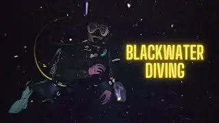 The Most Extreme Night Dive - Scuba Vlog