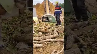 Wood chip crusher