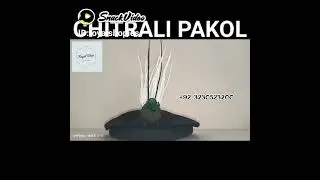 Chitrali Pakol | Pakool | Pathan Cap | Peshawari Cap | Crown Cap | Feather Pakol | #chitral #pakol