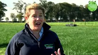how much water does a cow drink