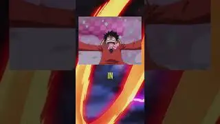 💪STRONGEST YONKO COMMANDER in One Piece