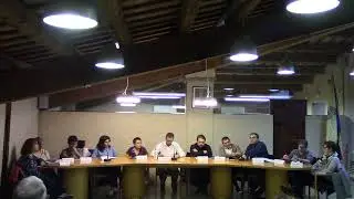 Ple ordinari del 28 de novembre de 2024