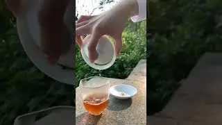 Aged Vintage Puerh Tea 2004 | 7333 Raw Puerh Tea Cake