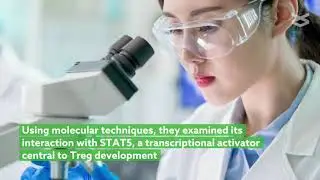 MKL 1 is a coactivator for STAT5b, the regulator of Treg cell development and function