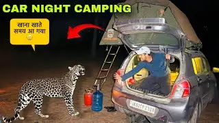 खाना खाने के बाद कार के आगे आ गया | Car Night Camping in Jammu Kashmir Forest | Camping in India