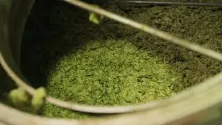 From Grain to Glass in 30 Seconds - Timothy Taylor's