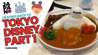 TOKYO DISNEYLAND INSTEAD OF MT. FUJI | WHEN PLANS CHANGE