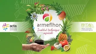 Armeflhor : 4 exemples d&rsquo;actions en protection int&eacute;gr&eacute;e de cultures mara&icirc;ch&egrave;res