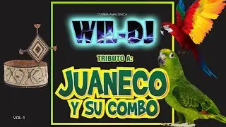 98 - MIX JUANECO Y SU COMBO - WIL DJ - WILDER TUCTO C&Aacute;RDENAS