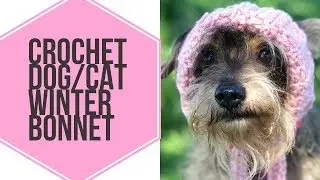 Crochet Dog/Cat Winter Bonnet