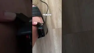 One Step Without Permission Ended His Freedom 😱