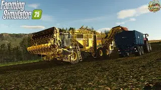 FS25! | Стоит ли покупать красную свеклу?? | День 11 в Кинлейде! | #fs25 | #cjfarms