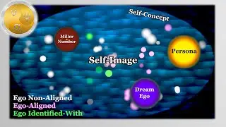 The Info-Dynamic Field-model of the Ego and Complexes