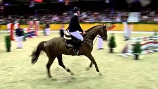 Livester *2011 by Lordanos - Carthago (Stallion Show Sosath 2016)