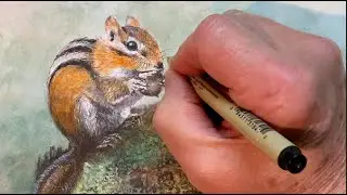 What the Woods Provide: Chipmunk in Watercolor