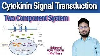 Cytokinin Signal Transduction l Two component pathway in plants l cytokinin plant_hormone skdigrawal