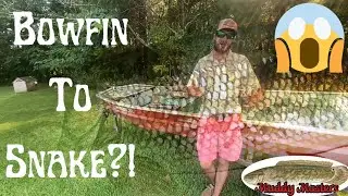 Freshwater Fish Tales - Bowfin | Native American Folklore of North America