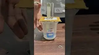 Electrolysis of water NCERT activity #physics #youtubeshorts #funny #chemistry chemistry