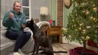 Chloe and Sissy&rsquo;s chin press