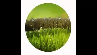 rubber soaker irrigation hose machine
