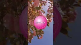 Feel Instant Relief with Box Breathing 🌸 The 5-5-5-5 Method for Emotional Balance ✨