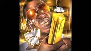 Gucci Mane Ft. Birdman 'Mouth Full Of Gold' INSTRUMENTAL