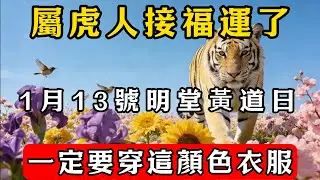 生肖虎必看，明天2026年1月13號，一定要穿這顏色接財神！菩薩保你財運大爆發！#佛教 #佛家 #佛法 #佛學知識 #佛學智慧 #修心修行 #佛教文化 #禪悟人生#傳統文化