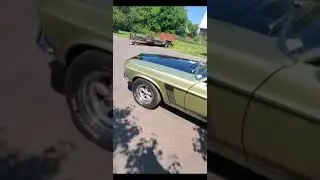 Ford Mustang Fastback 1969 Boss 302