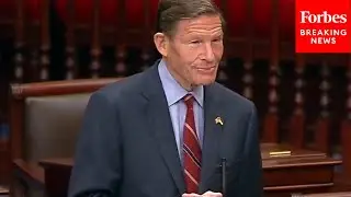 Blumenthal Warns Vote To Nullify FCC Internet Connection Rule Would Be A 'Self-Inflicted Wound'