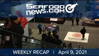 Area 12 Snow Crab Quota; Boston Show Cancelled; Chile Algae Bloom; MSC Responds to &ldquo;Seaspiracy&rdquo;