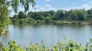 Arrans lake day ticket fishing in Essex carp fishing method feeder