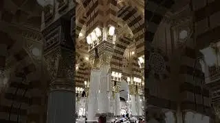 #madina #flowers #love#foryou