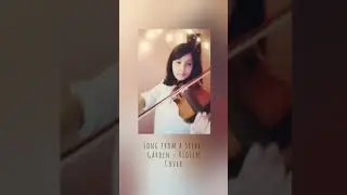 Playing an acoustic violin cover of 