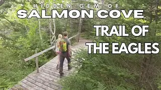Trail of the Eagles, Salmon Cove | Coastal Hike in Newfoundland