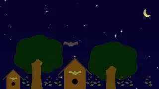 Why protecting bats is important - Faunawatch