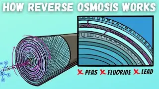 What Is Reverse Osmosis And How Does It Work?