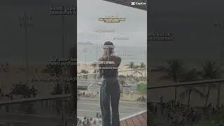 Dubsii