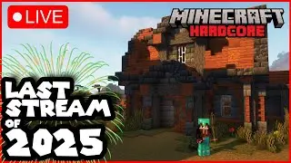LIVE: Last Stream of 2025 - Solo Hardcore World Day 672