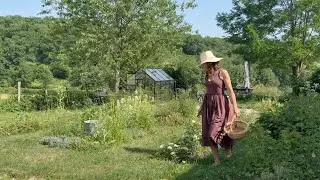 A slow life in the countryside of France 