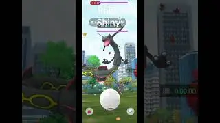 Mega Rayquaza Raid Day #2025 #pokemongo #niantic #raidday #shiny #shinypokemon #event