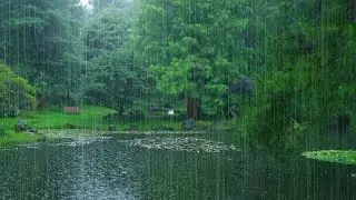 The beautiful little lake is raining(92) , sleep, relax, meditate, ASMR, Real Shot
