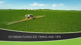 Soybean Fungicide Timing and Tips (From Ag PhD #1158 - Air Date 6-14-20)