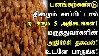 Panakarkandu Health Benefits in Tamil |Health Tips Tamil |Nalam 360
