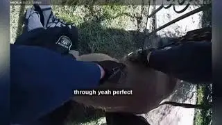 Michigan Police Officer Saves a Deer. #deer #savingwildlife #bodycam #michigan