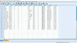 SPSS Project Part 2 DATA Since SPSS Project -DATA SPSS  DATA Since Project #Ali The Analyst