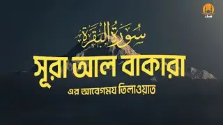 সূরা আল বাকারা এর প্রশান্তিময় কন্ঠে তিলাওয়াত┇🥀📖👍Surah Al Baqarah by Recited Zain Abu Kautsar