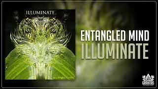 Entangled Mind - Illuminate