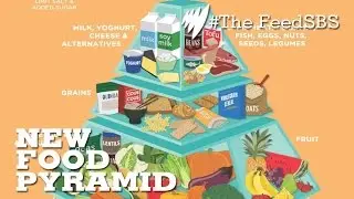 The food pyramid changes