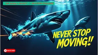 The Fascinating Reason Sharks Never Stop Moving